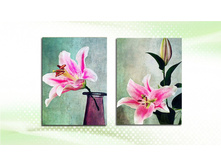 095825� 160925�.jpg