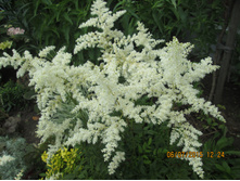 �������� ����� � ����������� ���������� -70 ���