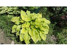 ����� ������� �� ��