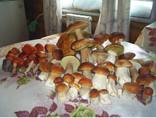 ����� �� 250�. �� 1 ��