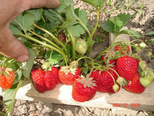 ��������� ����� 50,00 ���..jpg