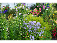 ������� �����������. ������� ��� � ������