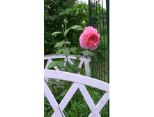 IMG 0281.JPG