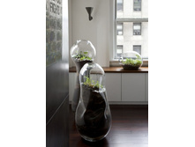 Florarium 067-650x938.jpg