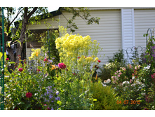 ����������� � ��������� ���