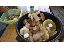 WP 20150703 13 01 12 Pro.jpg