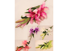 401/0136� - 224.00