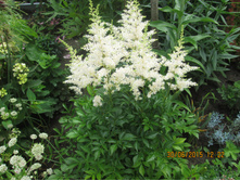 �������� ����� -70 ���