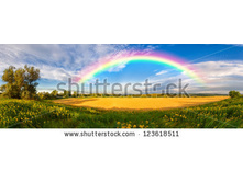 Stock-photo-panorama-of-a-big-summer-field-shined-with-the-sun-with-clouds-and-rainbow-in-the-sky-on-background-123618511.jpg