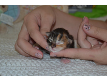 1 ������