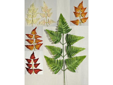 403/2014� - 16.00 (�� 12 ��)