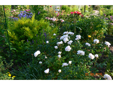 ������� -Winchester Cathedral