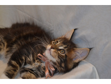 2 ������