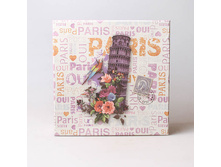 ������� ���������� PARIS, 450500 XL 200�.jpg