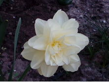 IMG 20140510 084641.jpg