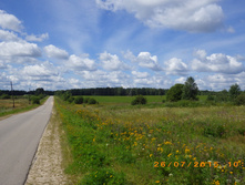 07.JPG
