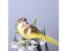 ����� ������ 6 �� A 3271-1 120�.jpg