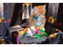 2 ������