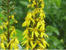 ��������� ������������� 120