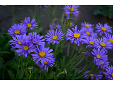 ���� 2014 045.JPG