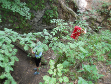 DSCN1428.JPG