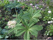 ��������� 180�