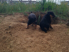IMG 20150702 131648.jpg