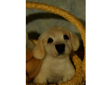 �����������)))