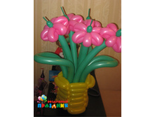 �39(1) 650 ������).jpg