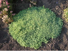 ������ ��������� 70