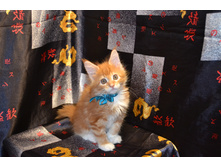 2 ������