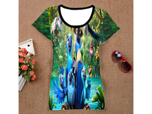 �������� ������� ���. TSW3D050.jpg