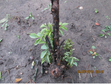 ��������(((