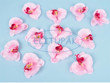 ��000550 ������ ����������� ������� 10 �� (12 ��. � ��.)(12 ��.� ���.)(Mbox 144 ����.) 196.80�.jpeg