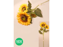 401/0326� - 241.00