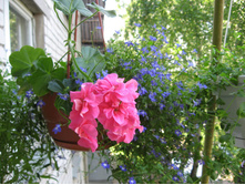 ������������ ���������� PAC Vicky