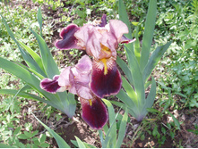 ���� ����������� ����� 100 �