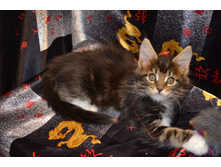 2 ������