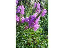 ���������� ����������.90