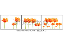 Stock-photo-poppy-flowers-increasing-110297672.jpg