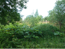 �������� ��������