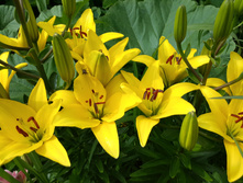 20150707 141945 Richtone(HDR).jpg