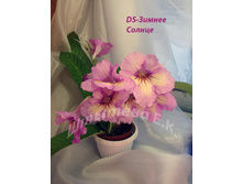 ��-������ ������