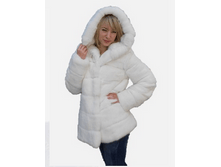 ���� ����� � ���������.png