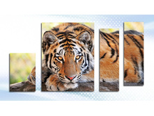 005203� 1889�.+%