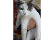 ���� ����