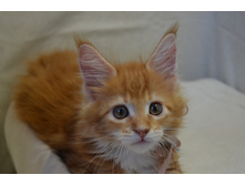 2 ������