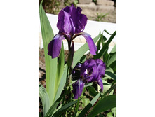 ���� ����������. 90