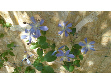 20150704 143543.jpg
