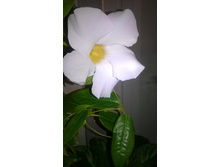 WP 20150723 21 17 04 Pro.jpg